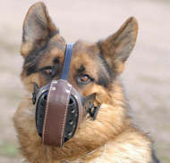 German shepherd leather dog muzzle - gsd