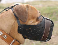 bullmastiff muzzle- leather dog muzzle