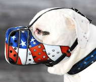 Best american bulldog muzzle