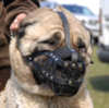 ventilation dog muzzle for Shepherd