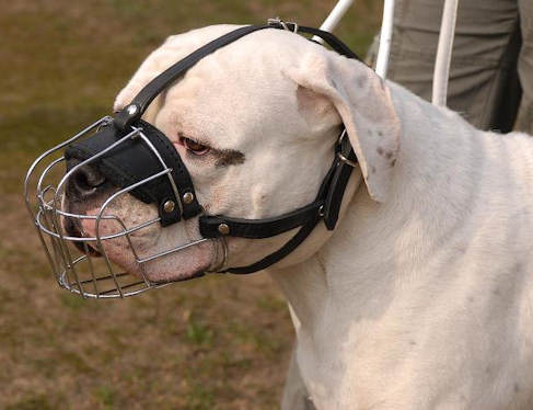 Basket Wire Dog Muzzle Light For American Bulldog - R2