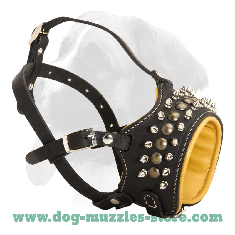 Padded leather dog muzzle with spikes for all breeds [M611079 Leather