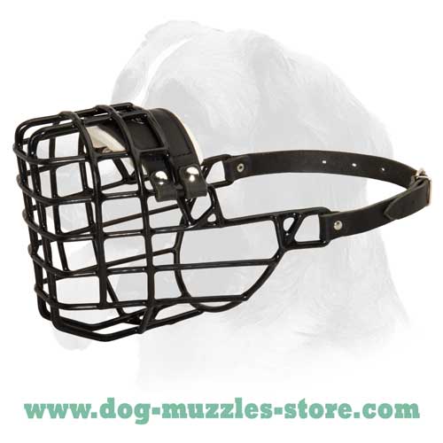 Best training wire basket dog muzzle
