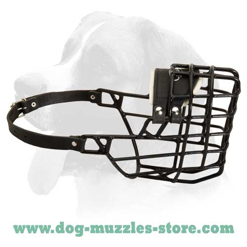 Wire basket dog muzzle