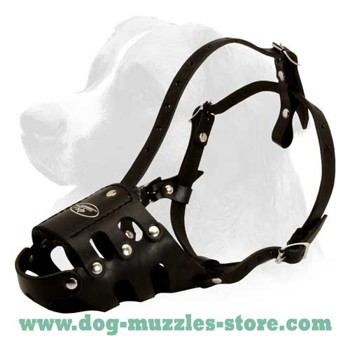 Strong leather dog muzzle