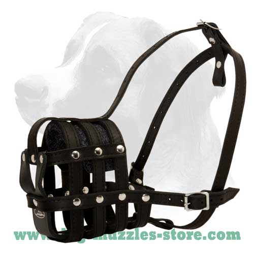 Durable leather dog muzzle