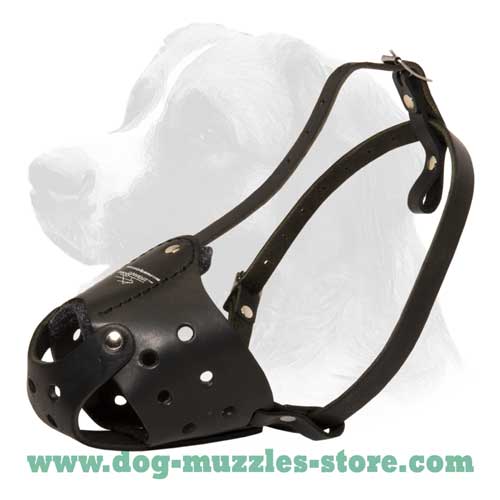 Comfortable walking leather dog muzzle