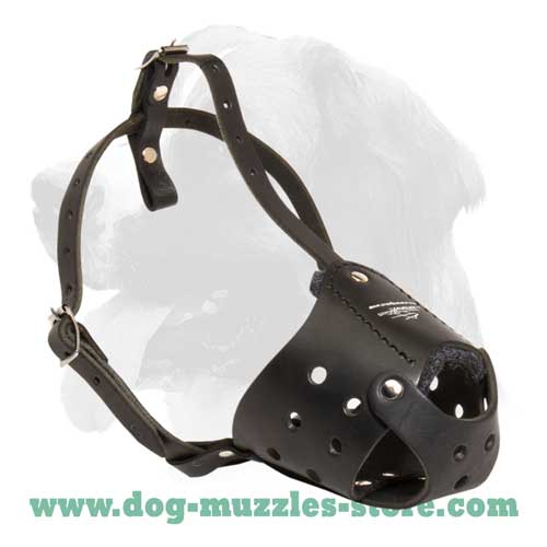 Soft and strong leather dog muzzle