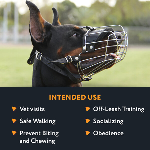 Optimal Use for Basket Dog Muzzle