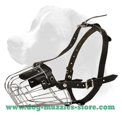 Long lasting durable wire dog muzzle