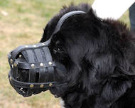 Newfoundlan ventilation dog muzzle for walking 