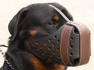 leather muzzle for rottweiler
