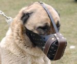 Leather Dog Muzzle "Dondi" style For Anatolian Shepherd
