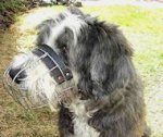 Polish Lowland Sheepdog Wire Basket Dog Muzzle