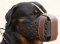 Leather dog muzzle "Dondi" style For Rottweiler M55