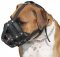 BEST Leather Dog Muzzle for Boxer
