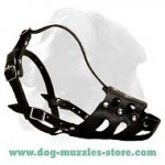 No Bite Muzzle - Fully Adjustable Leather Dog Muzzle