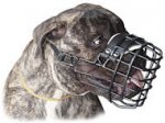 Everyday Cage Large Wire Dog Muzzle for Bullmastiff