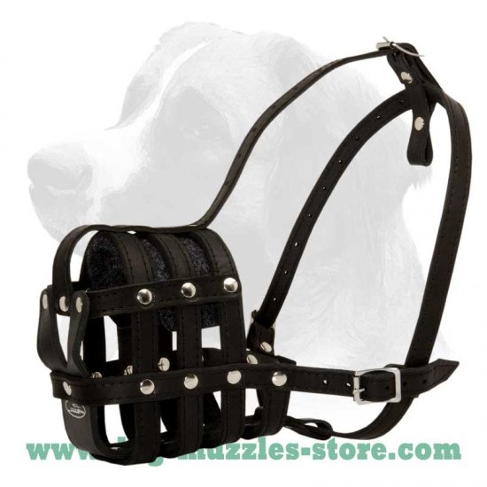 Everyday Light Weight Ventilation French Bulldog Muzzle - M41