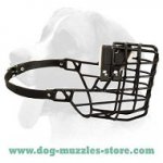 Super Rubber and Plastic Coated Dog Muzzle