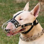 English Bull Terrier Wire Basket Dog Muzzle - custom dog muzzle
