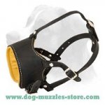 No Bark Dog Muzzle - Leather Padded Dog Muzzle - No bite Muzzle