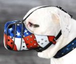 Hand Painted Leather Dog Muzzle "Dondi" for Dogo Argentino
