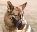 Leather Dog Muzzle "Dondi"- plus style For German Shepherd