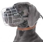 Great Dane Wire Basket Dog Muzzle