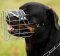 Rottweiler Wire Dog Muzzle with Padded Basket