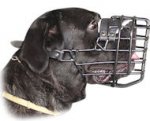 Best Fit Wire Dog Muzzle for Cane Corso