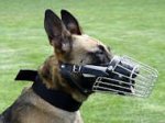 Fully Padded Basket Wire Dog Muzzle for Malinois