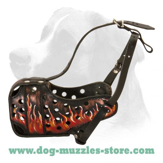 Hand Painted by Artists Leather Muzzle "Dondi" Plus