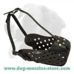 Training leather dog muzzle for medium and big dogs