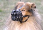 Everyday Light Weight Ventilation Collie Muzzle