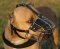 American Pit bull Wire Basket Dog Muzzle