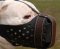 American Pitbull Dog Training Muzzle in Dondi style