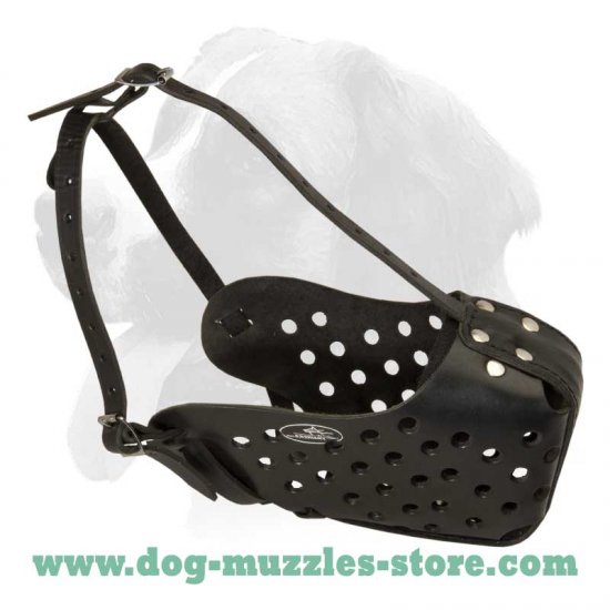 Training leather dog muzzle for medium and big dogs [M51079 Leather