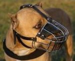 American Pit bull Wire Basket Dog Muzzle