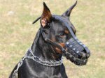 Everyday Light Weight Super Ventilation Doberman Muzzle