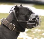 Cane Corso Wire Basket Dog Muzzle