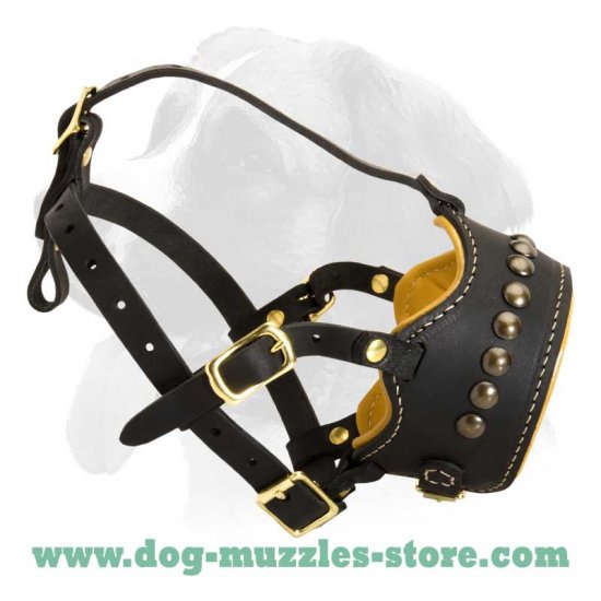 Designed Leather Dog Muzzle with Studs and Soft inside Padding