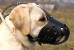 Everyday Leather Dog Muzzle for Labrador