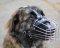 Wire Dog Muzzle for Kavkazskaya Ovcharka-Caucasian Shepherd DOG