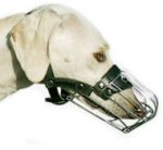 Greyhound Wire Muzzle - Saluki Dog Muzzle - Gazelle Hound Muzzle
