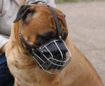 Bullmastiff Wire Basket Large Dog Muzzle