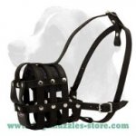 Everyday Light Weight Ventilation French Bulldog Muzzle - M41