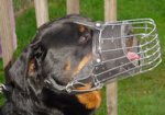 Rottweiler Fully Padded Wire Basket Dog Muzzle