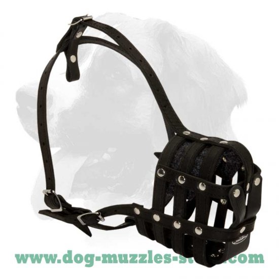 Extra Comfort Durable Leather Dog Muzzle