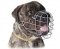 Big Wire Basket Dog Muzzle for Bullmastiff